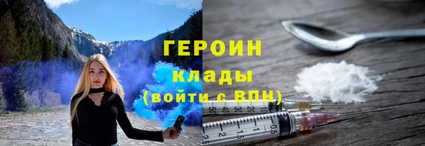 прущие грибы Ельня