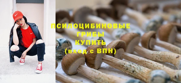 герыч Дмитриев