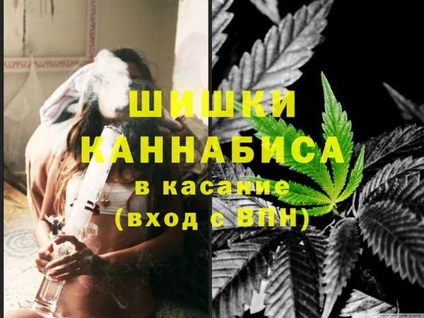 прущие грибы Ельня