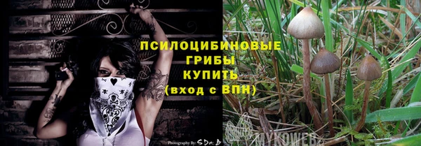 прущая мука Дмитров