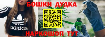 МДПВ Гатчина