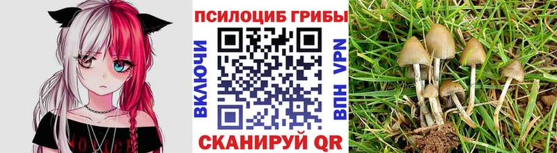 мега ТОР  хочу   Добрянка  Галлюциногенные грибы Psilocybe 