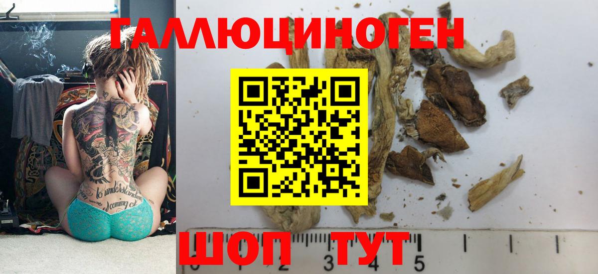 Псилоцибиновые грибы прущие грибы Добрянка