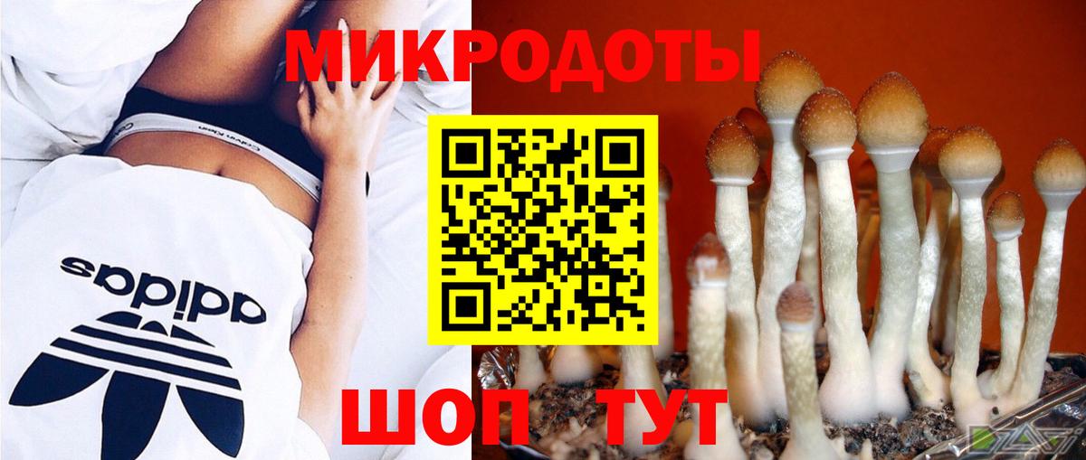 Добрянка  Галлюциногенные грибы мухоморы  Вход с VPN 